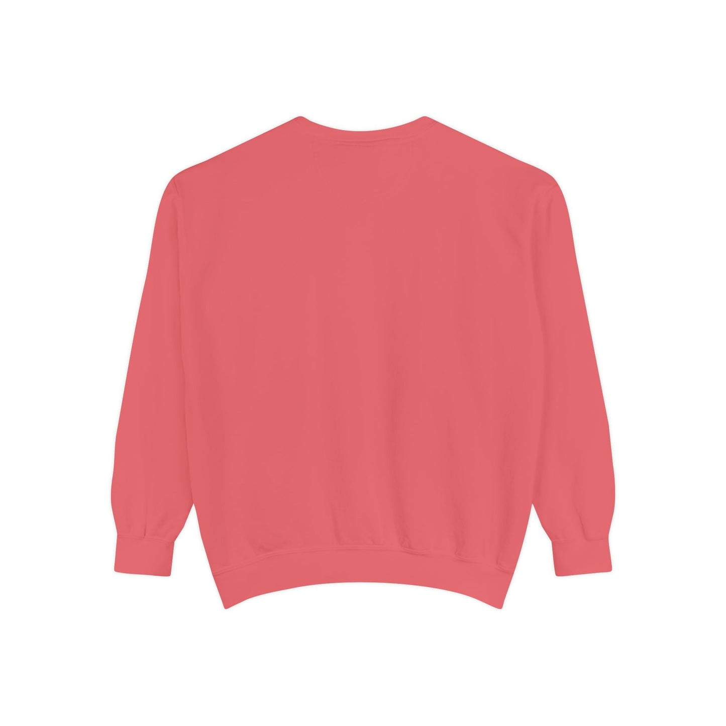 RI cooedinates Unisex Crewneck