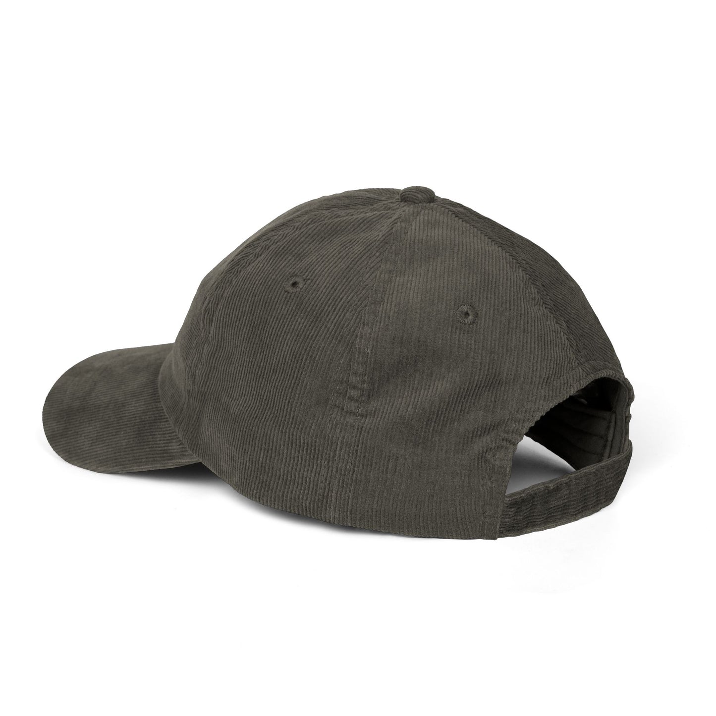 RI College Hat Red Flag
