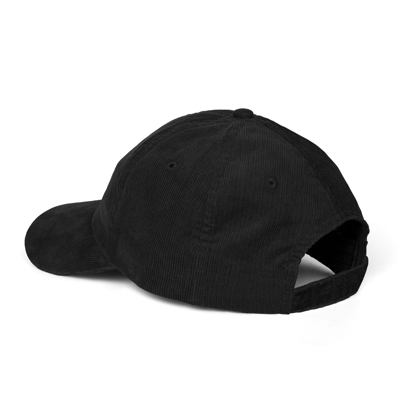 RI College Hat Red Flag