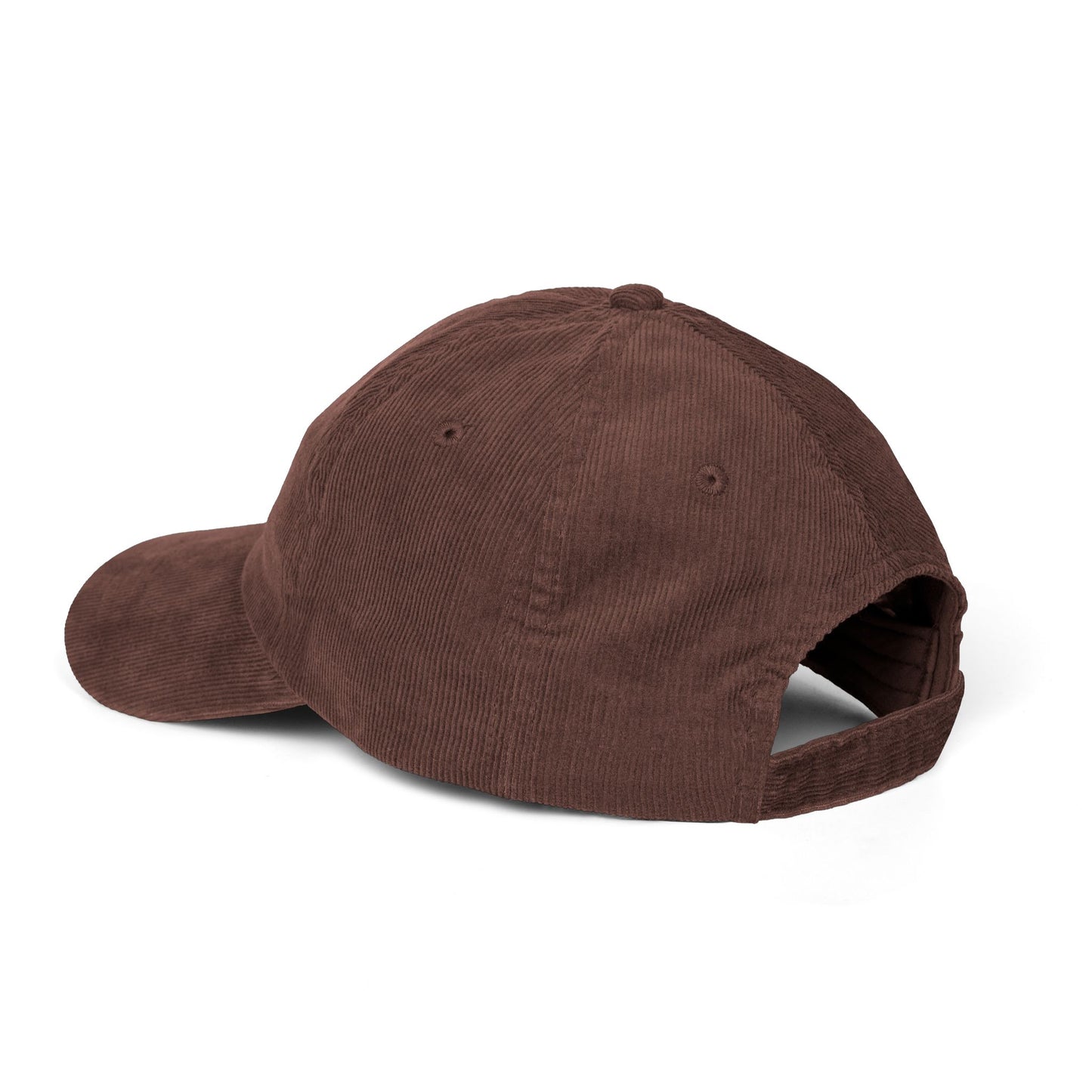 RI College Hat Red Flag